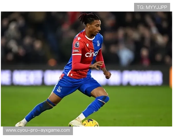 “萨尔·巴赫:南非新一代橄榄球天才” “萨尔·巴赫:南非新一代橄榄球天才”